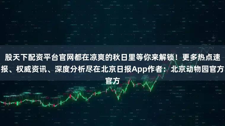 股天下配资平台官网都在凉爽的秋日里等你来解锁！更多热点速报、权威资讯、深度分析尽在北京日报App作者：北京动物园官方