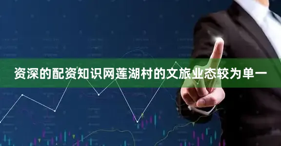 资深的配资知识网莲湖村的文旅业态较为单一